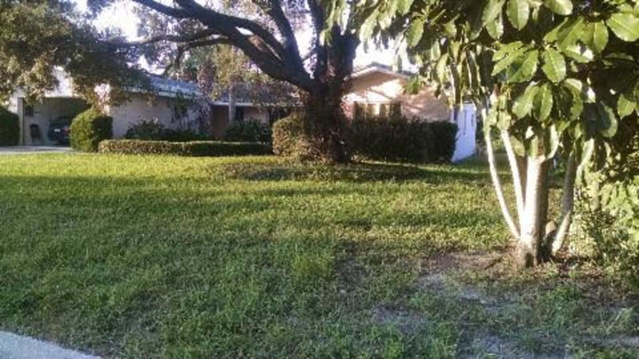 Profile photo 1 of 1