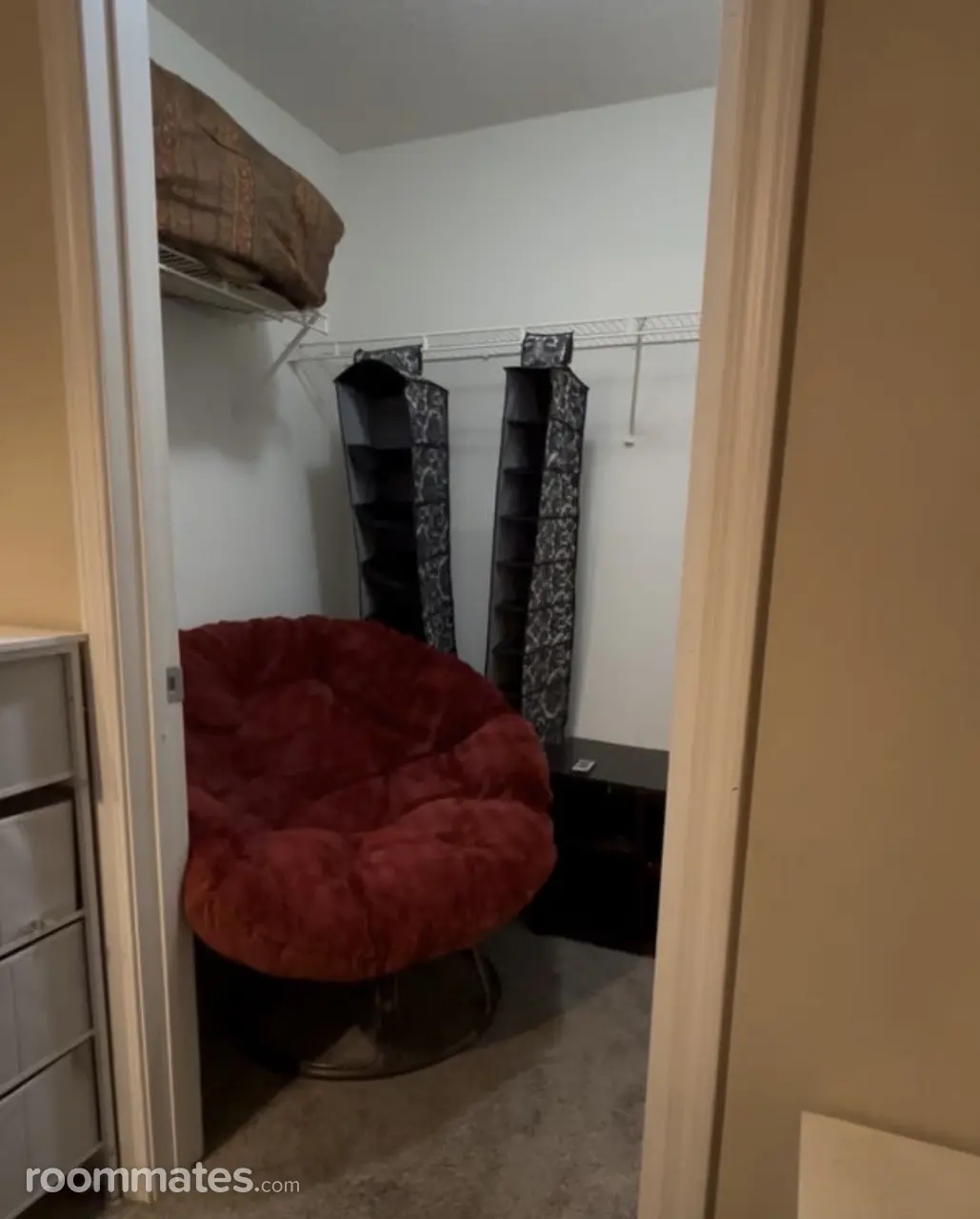 Profile photo 7 of 8