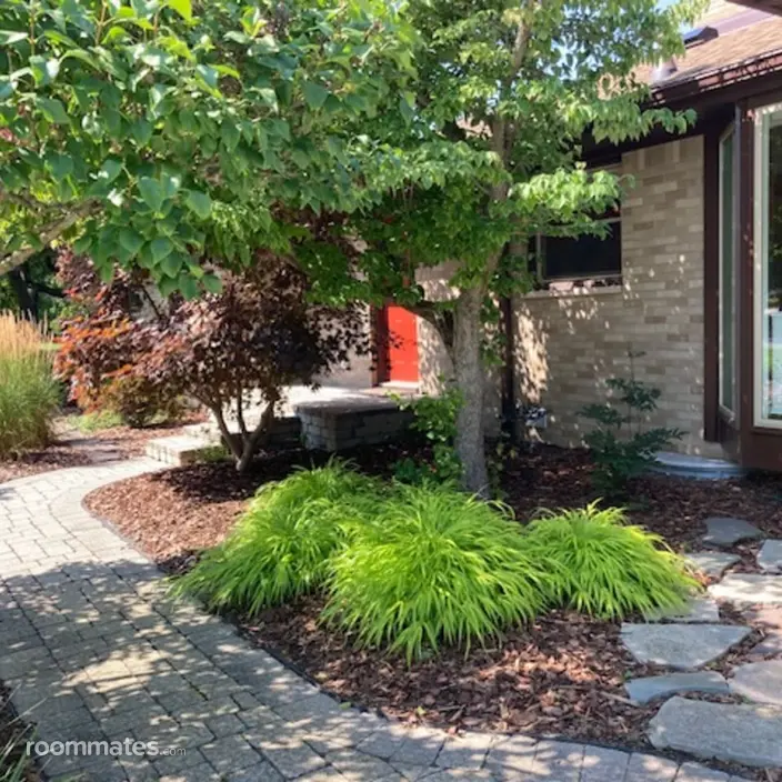 Room for rent in Okemos, MI $900, house