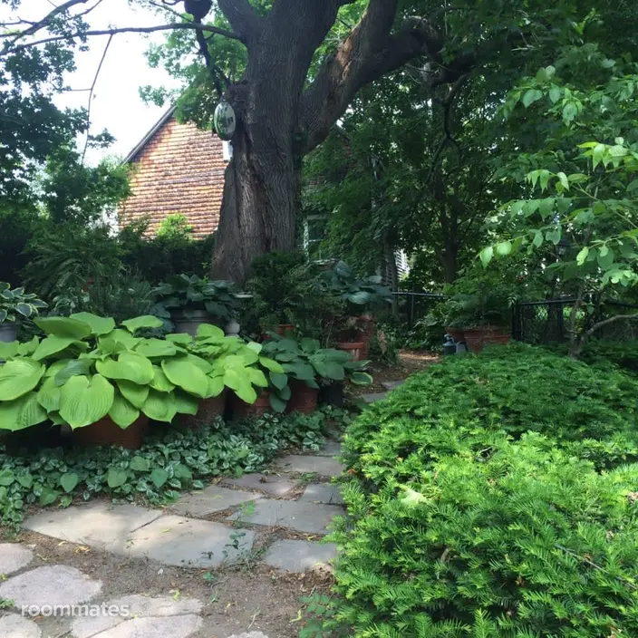 Room for rent in Weymouth, MA $1000, house