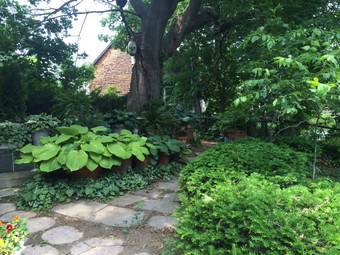 Room for rent in Weymouth, MA $1000, house