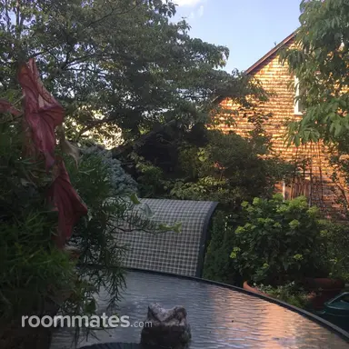 Thumbnail 11