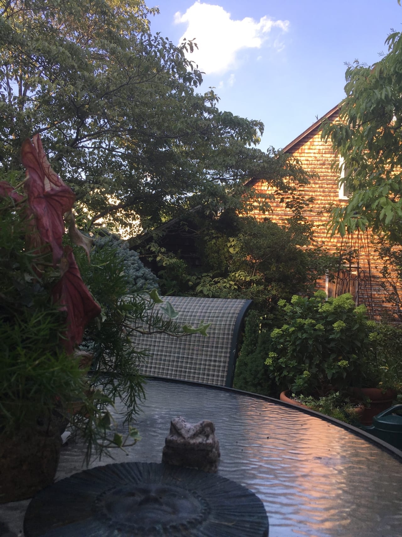 Profile photo 10 of 14