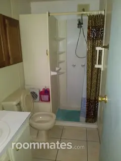Room for rent in Saint Petersburg, FL $700, other
