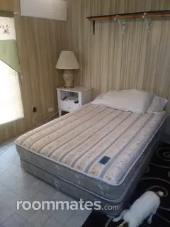 Room for rent in Saint Petersburg, FL $700, other