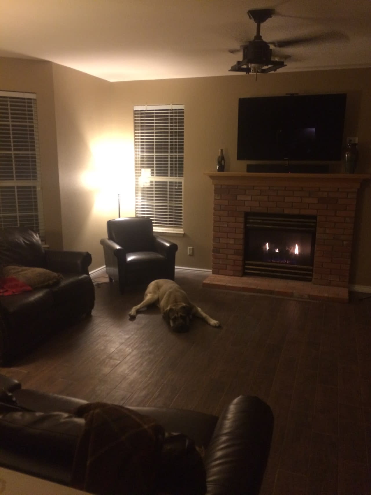 Profile photo 7 of 11