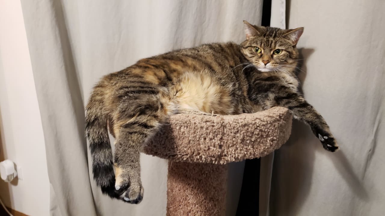 Profile photo 3 of 5