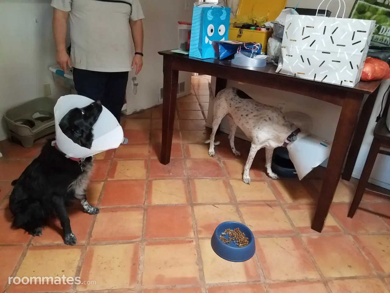 Profile photo 3 of 3