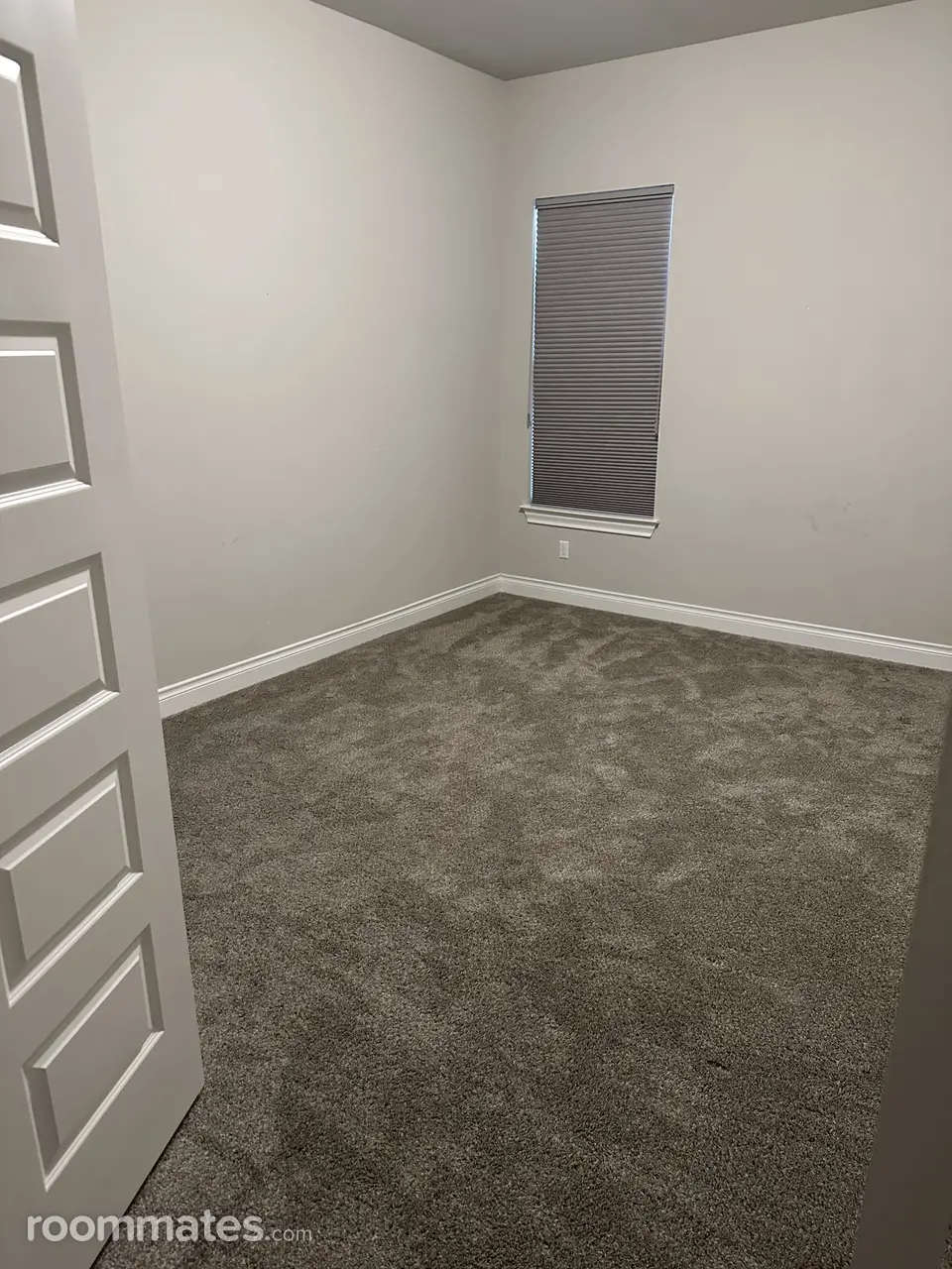 Profile photo 7 of 12