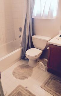 Room for rent in Colorado Springs, CO $535, house