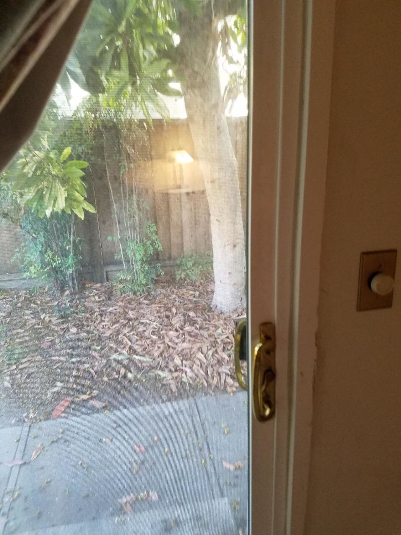 Profile photo 2 of 6