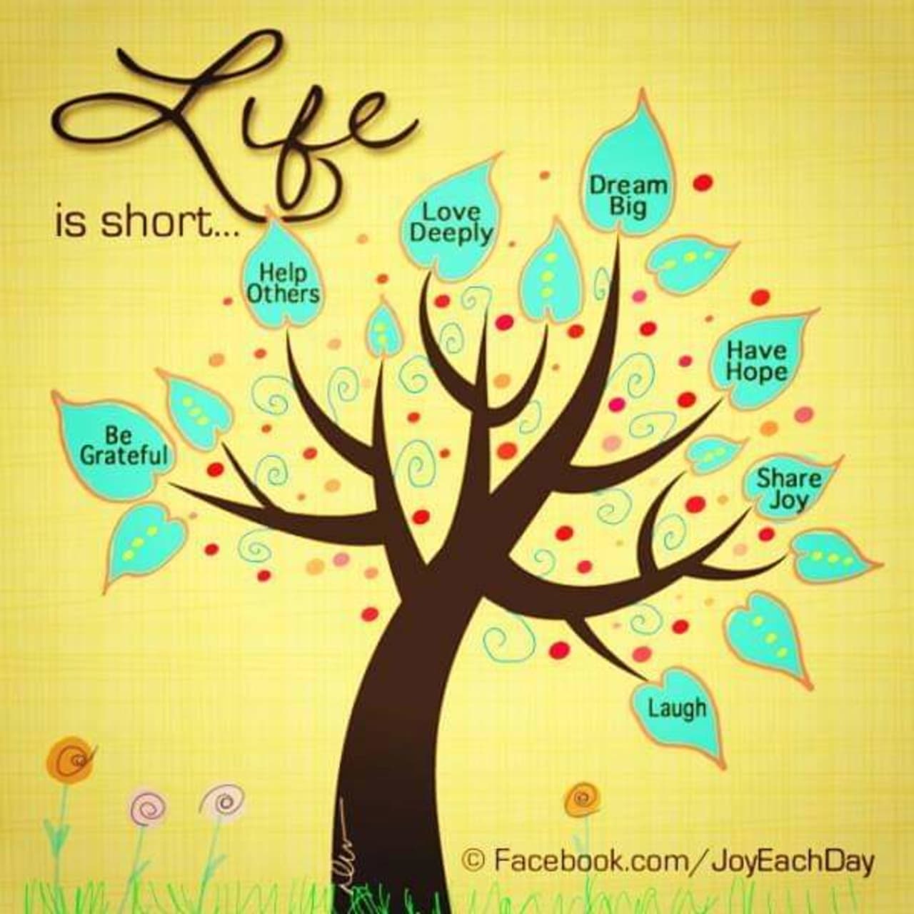 Profile photo 12 of 12