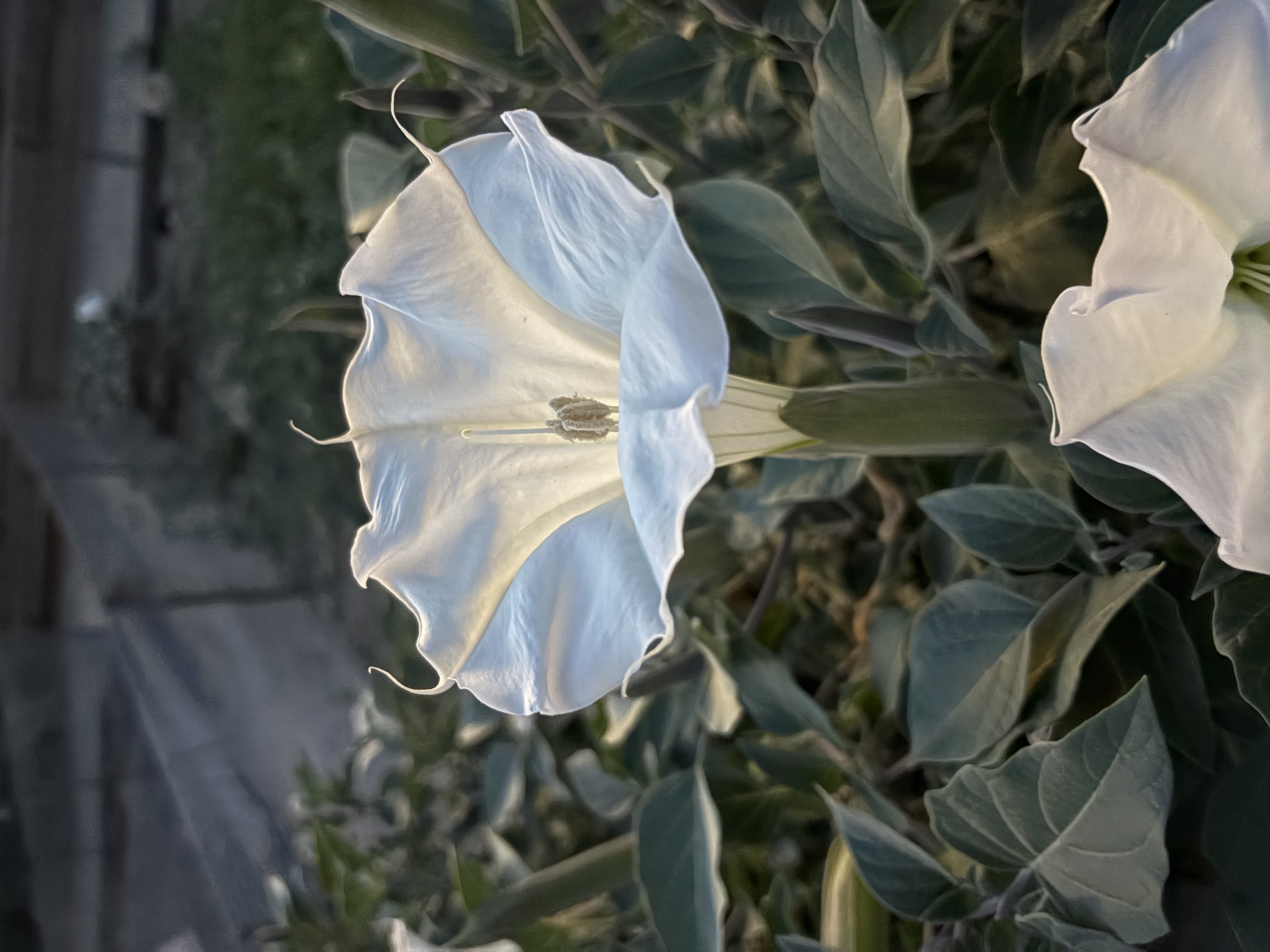 Profile photo 1 of 1